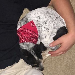 Meet your Posher, Colton